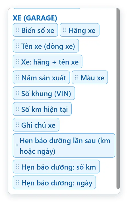 Nhóm trường XE (GARAGE) trong trang Mẫu in TPSoft Web